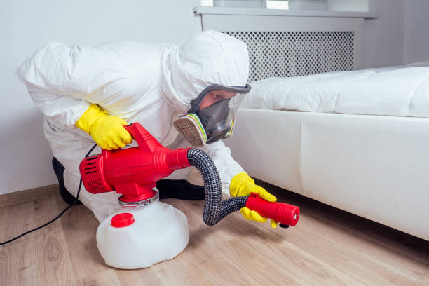 Best Real Estate Pest Inspections  in Fellsburg, PA